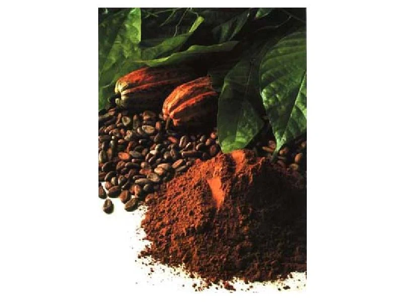 Champú para Pelo Negro con Cacao para Perros | Bubbles