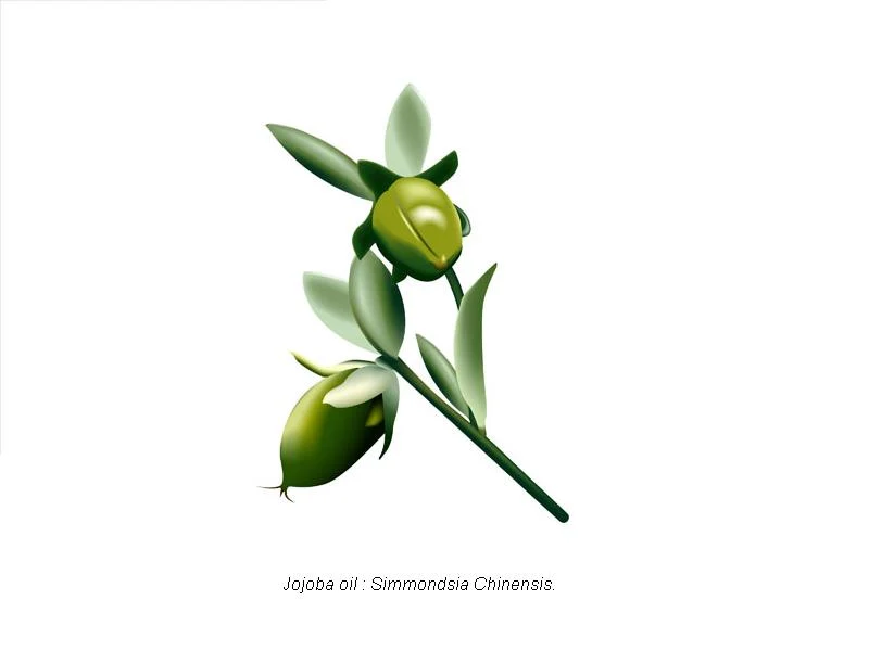 Champú para Cachorros con Jojoba de BUBBLES | Cuidado Natural para la Piel y Pelaje de tu Perro