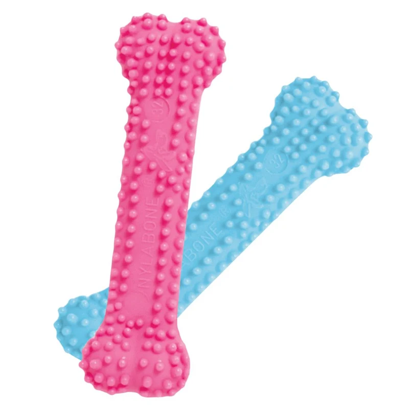 Nylabone Dental Chew xs