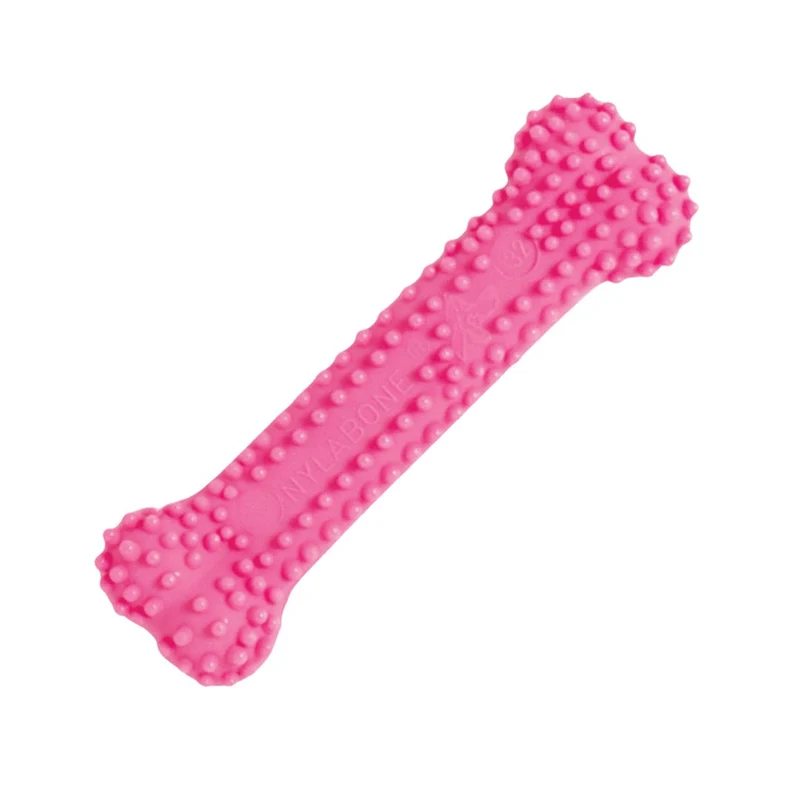 Nylabone Dental Chew xs