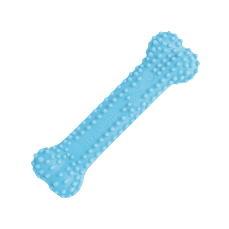 Nylabone Dental Chew xs