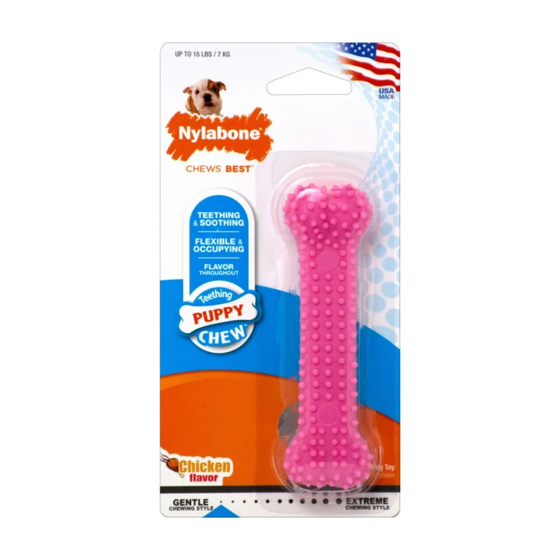 Nylabone Dental Chew xs