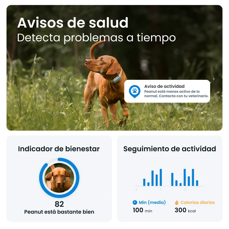 Tractive - GPS Dog 6 Mint