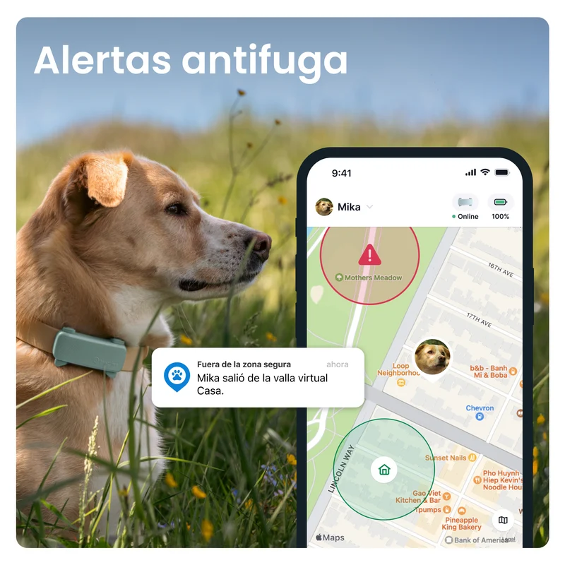 Tractive - GPS Dog 6 Mint