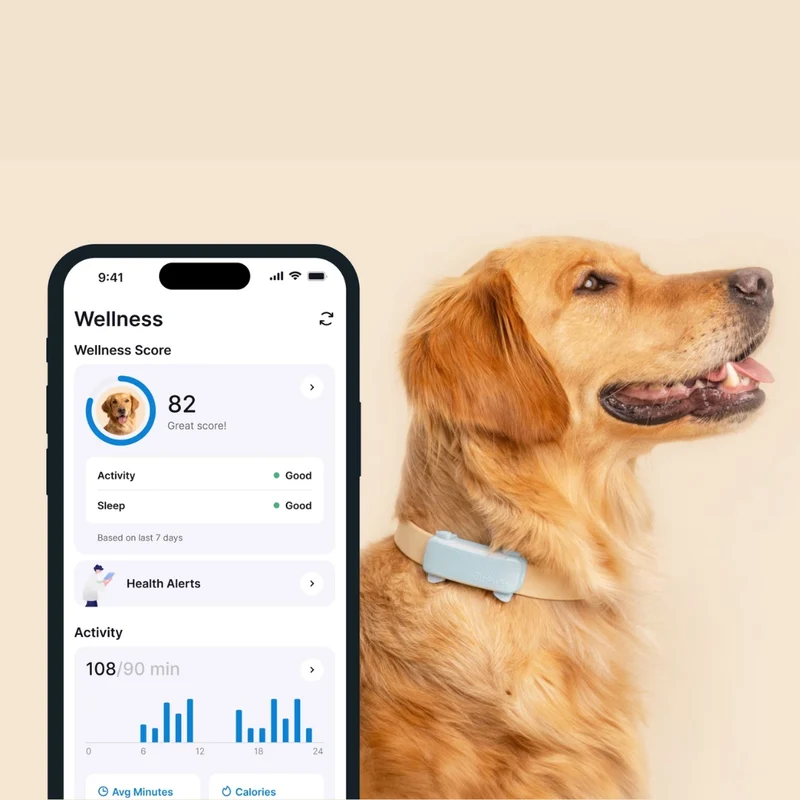 Tractive - GPS Dog 6 Mint