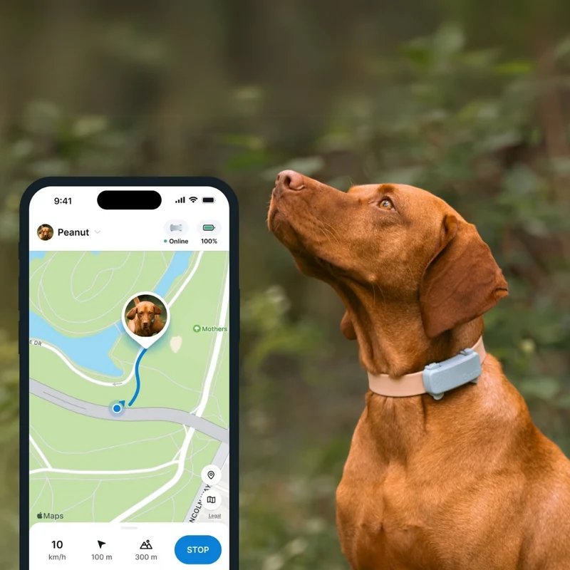 Tractive - GPS Dog 6 Mint