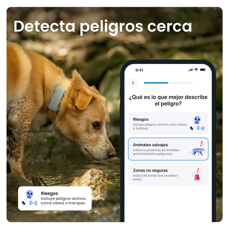 Tractive - GPS Dog 6 Mint