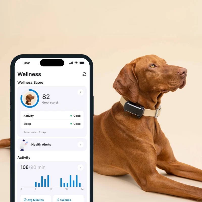 Tractive - GPS Dog 6 Black
