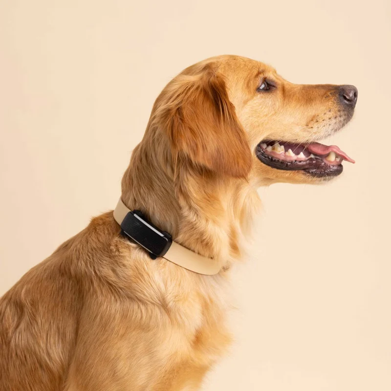 Tractive - GPS Dog 6 Black