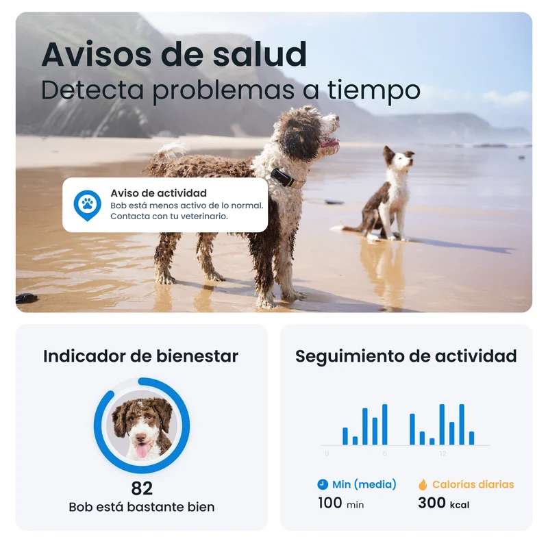 Tractive - GPS Dog 6 Black