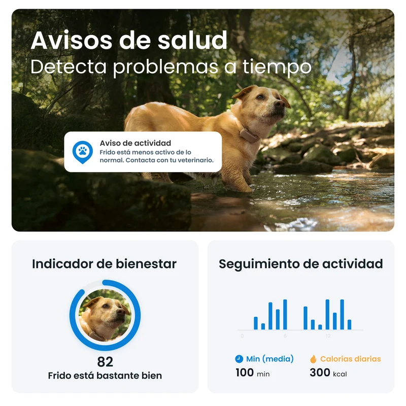 Tractive - GPS Dog 6 Brown