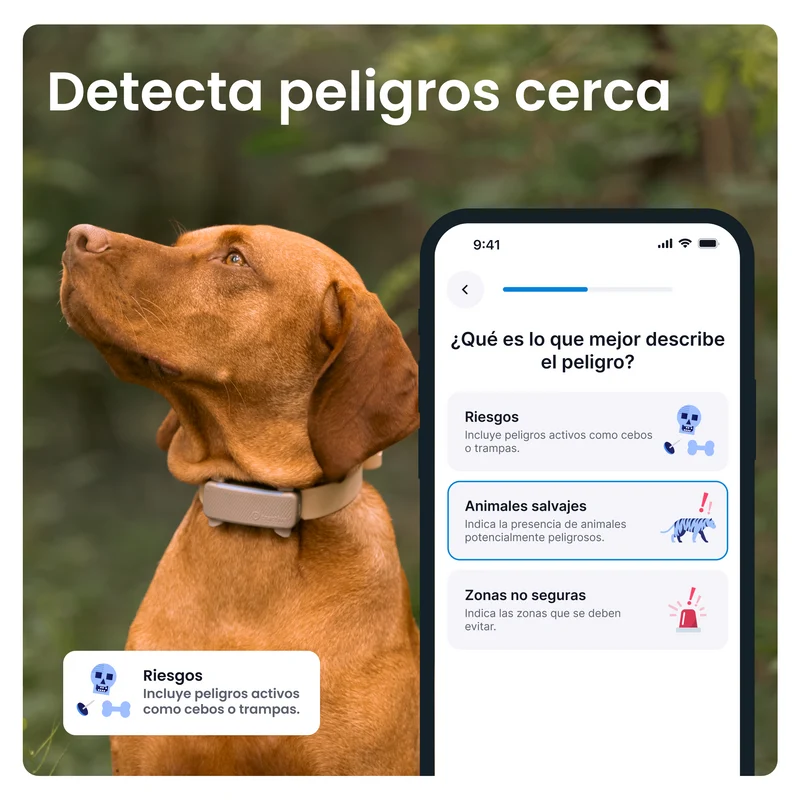 Tractive - GPS Dog 6 Brown