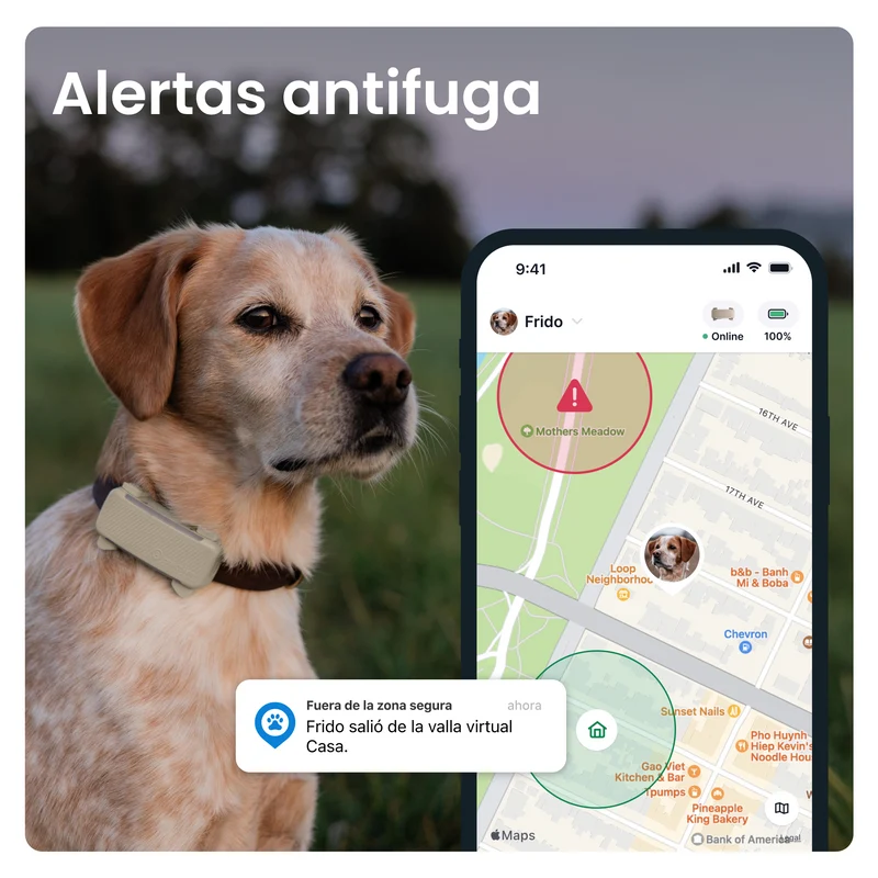 Tractive - GPS Dog 6 Brown