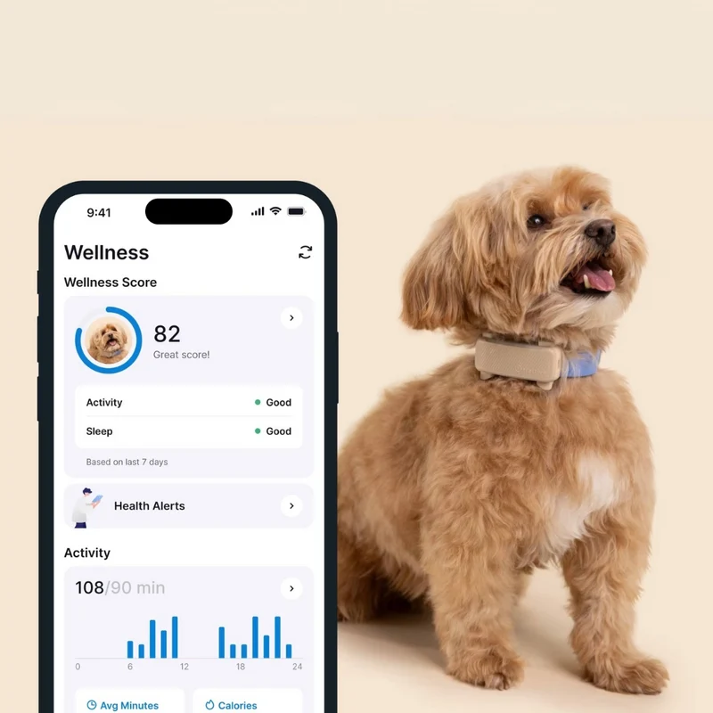 Tractive - GPS Dog 6 Brown
