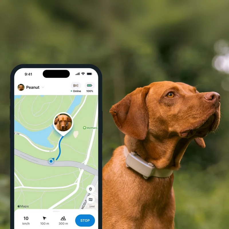Tractive - GPS Dog 6 Brown