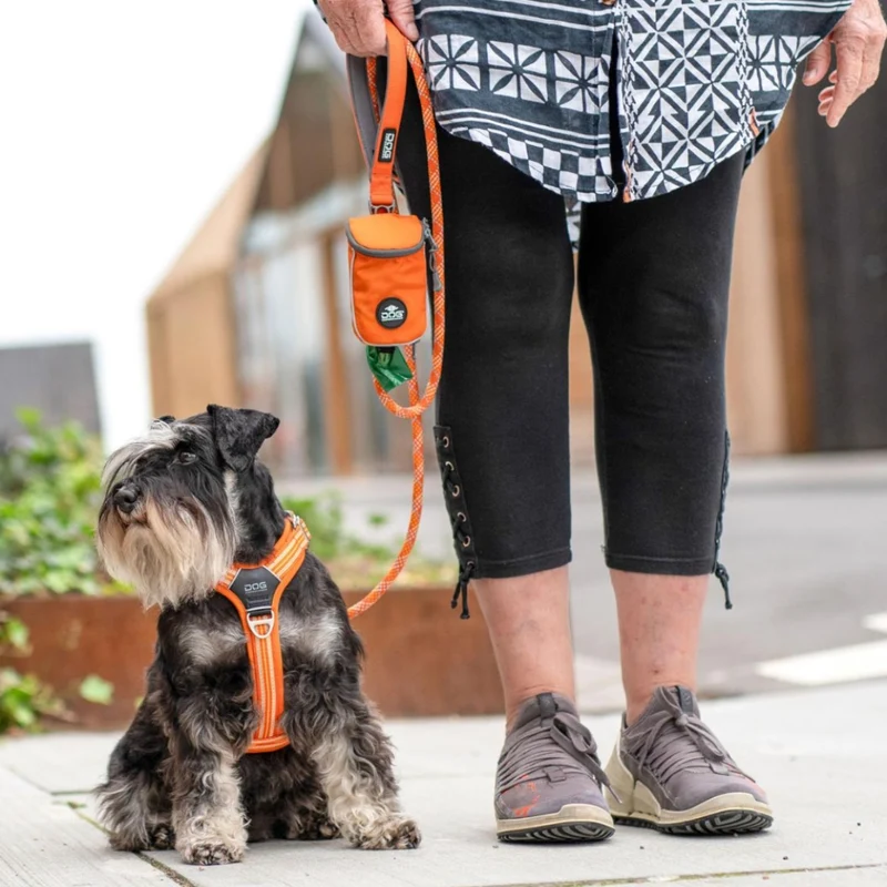 DogCopenhagen Arnés Walk Air™ V3 Naranja