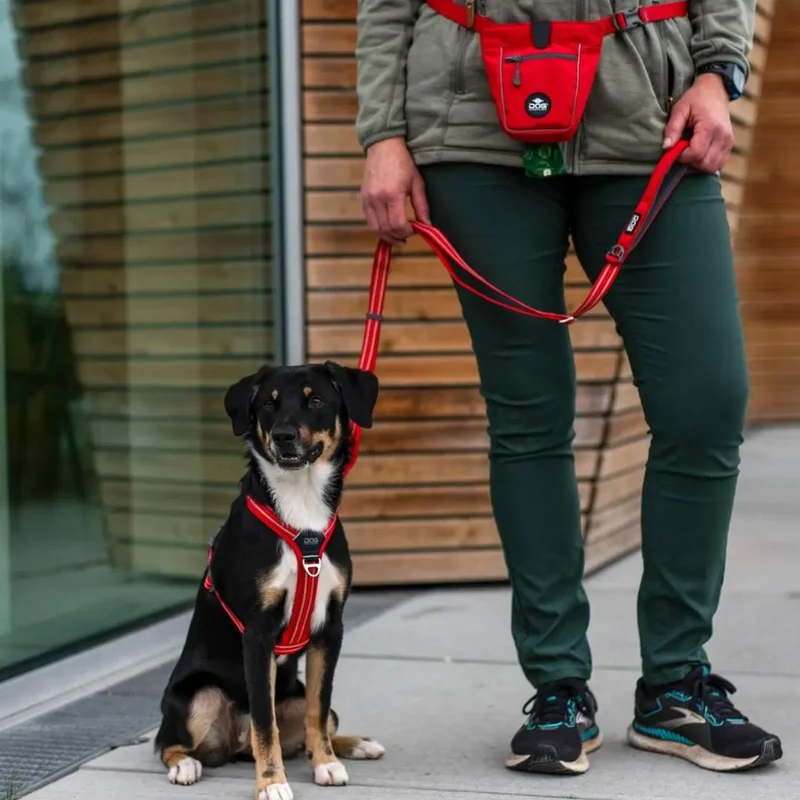 DogCopenhagen Correa Urban Freestyle™ - V3
