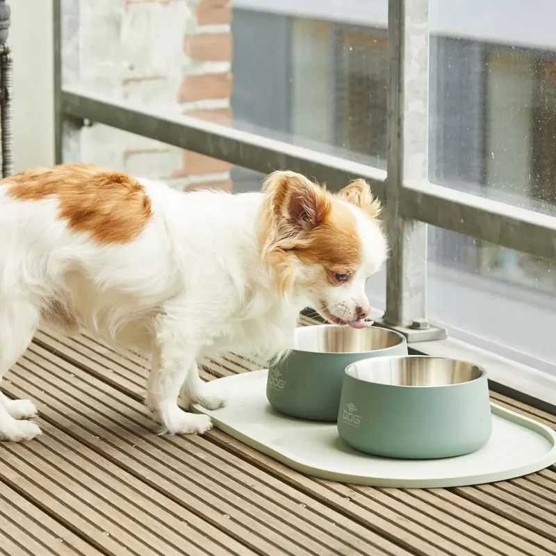 DogCopenhagen Libra Placemat MintGreen S