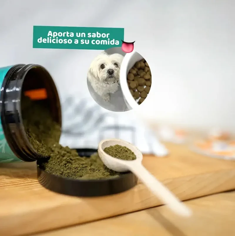 The Doog Life Suplemento Skin Balance