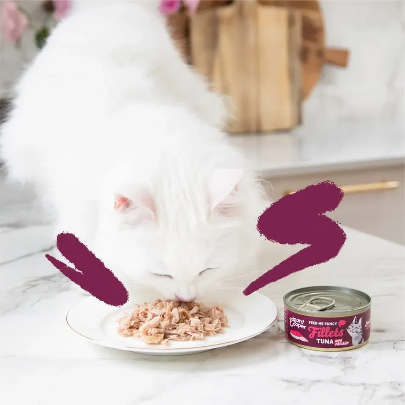 Edgard & Cooper Cat Fillets Atún y Pollo 70g