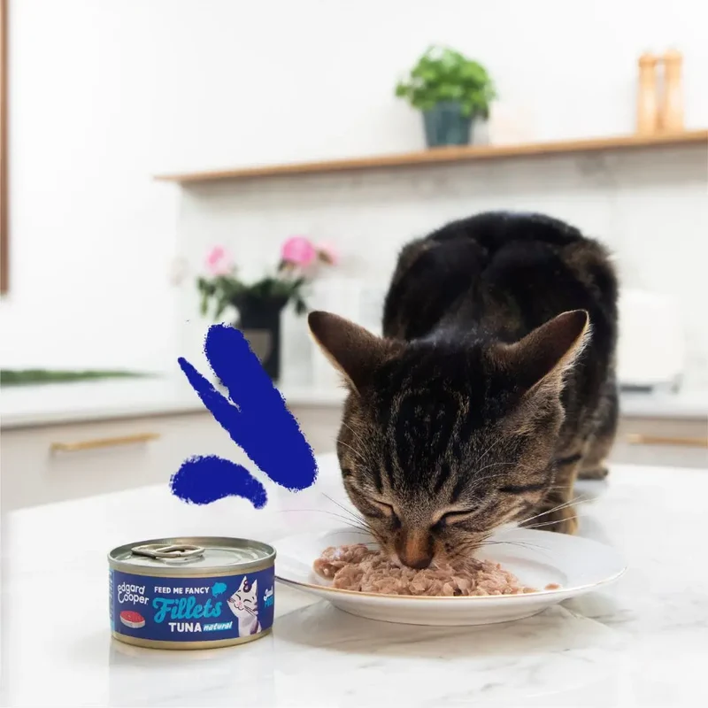 Edgard & Cooper Cat Fillets Atún 70g