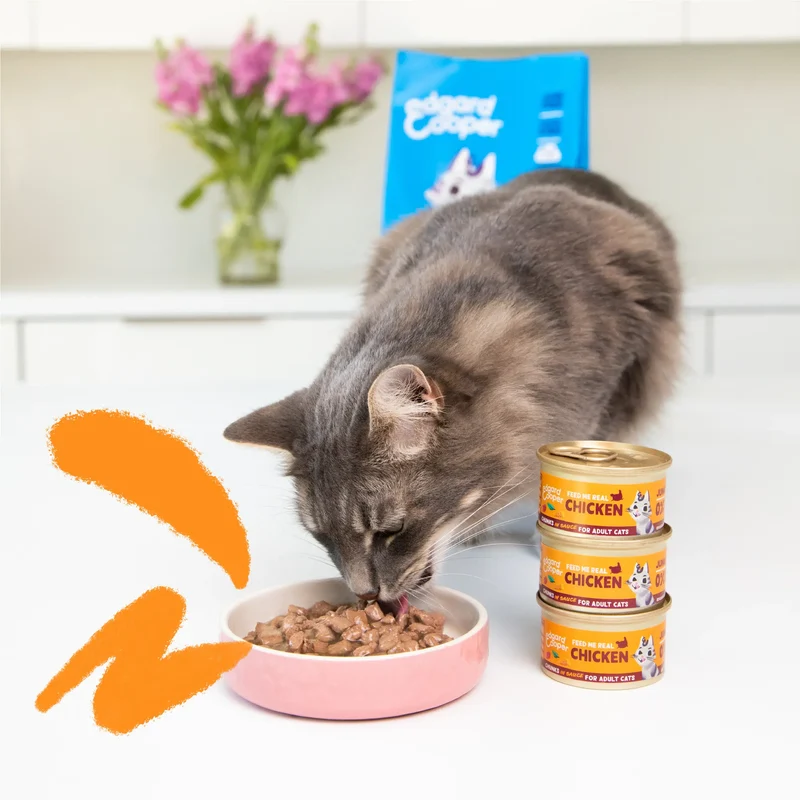 Edgard & Cooper Cat Trocitos en Salsa Pollo de Corral 85g