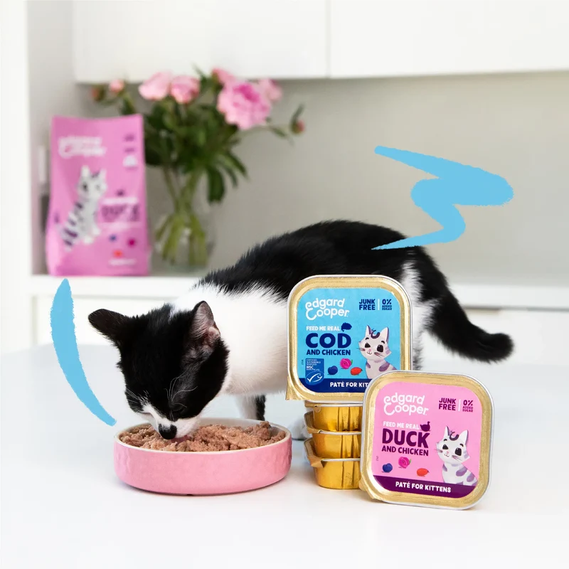 Edgard & Cooper Cat Kitten Trocitos en Salsa Bacalao y Pollo de Corral 85g