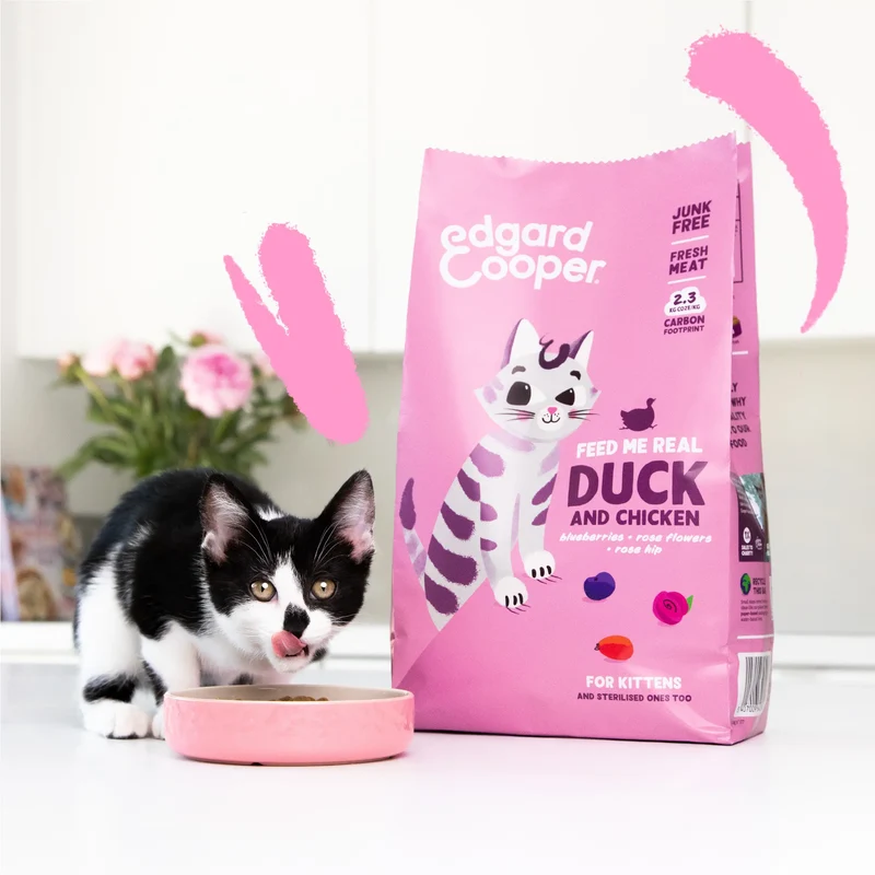 Edgard & Cooper Cat Kitten Pato