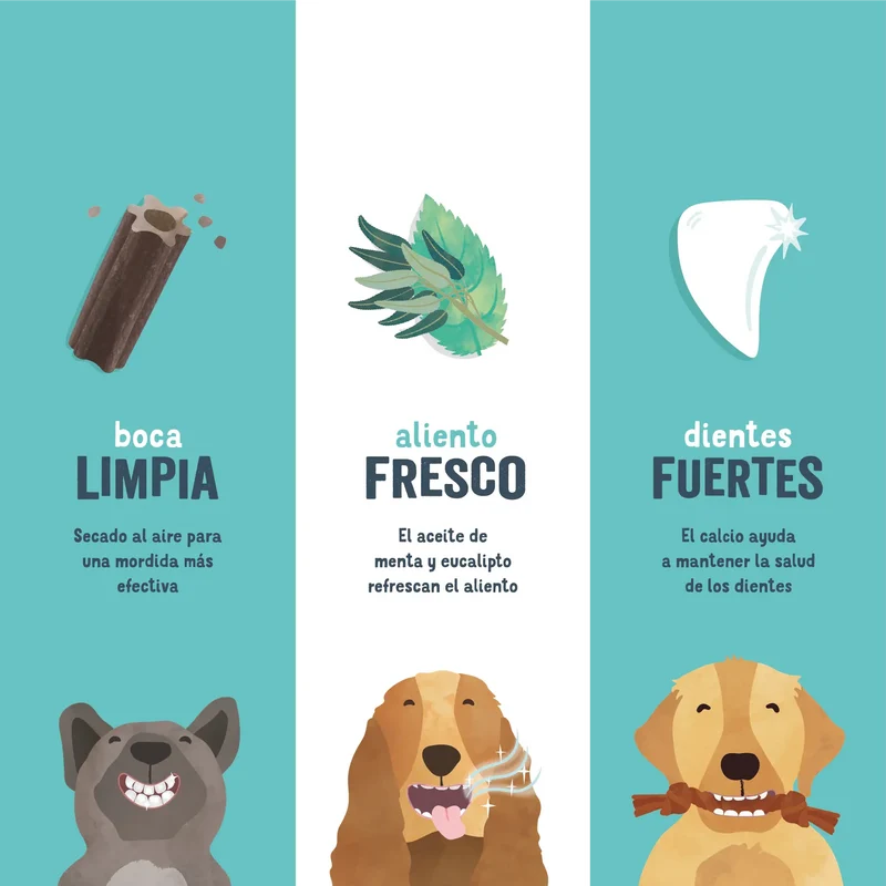 Edgard & Cooper Doggy Dental Fresa/Menta