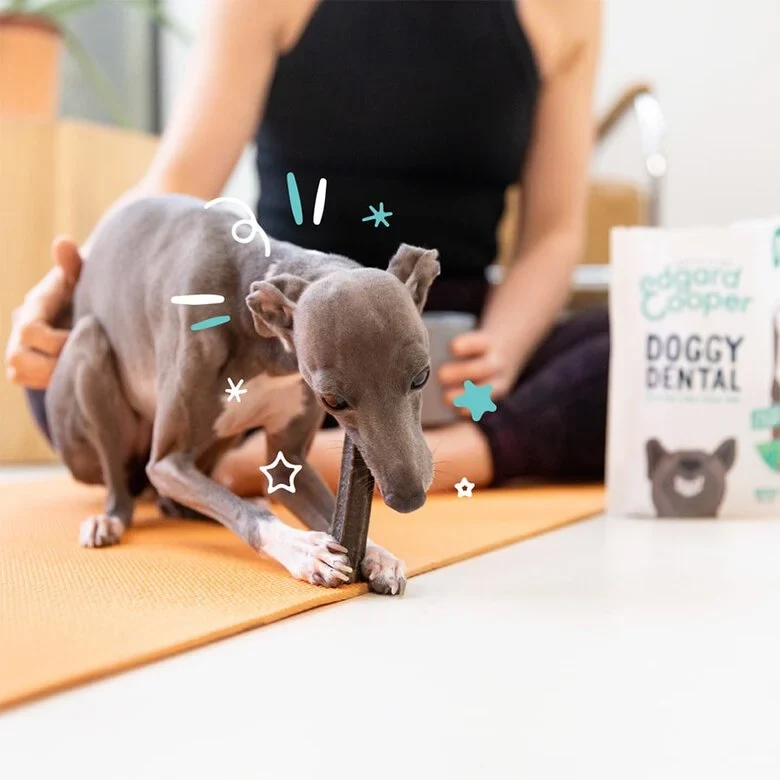 Edgard & Cooper Doggy Dental Fresa/Menta