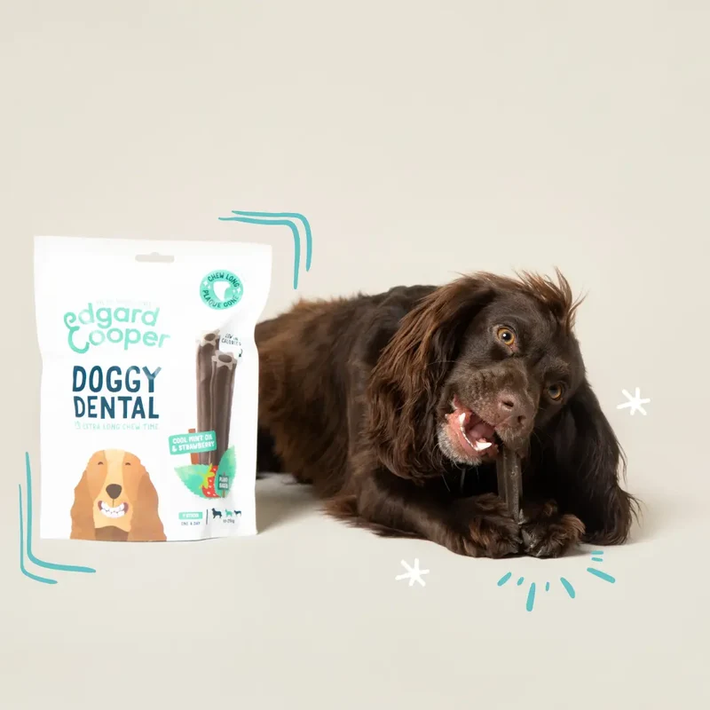 Edgard & Cooper Doggy Dental Fresa/Menta