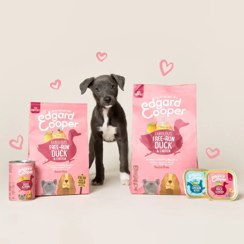 Edgard & Cooper Dog Puppy lata Pato y Pollo 400g