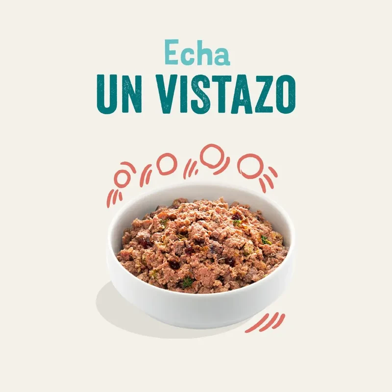 Edgard & Cooper Dog Lata Pollo y Salmón 400g