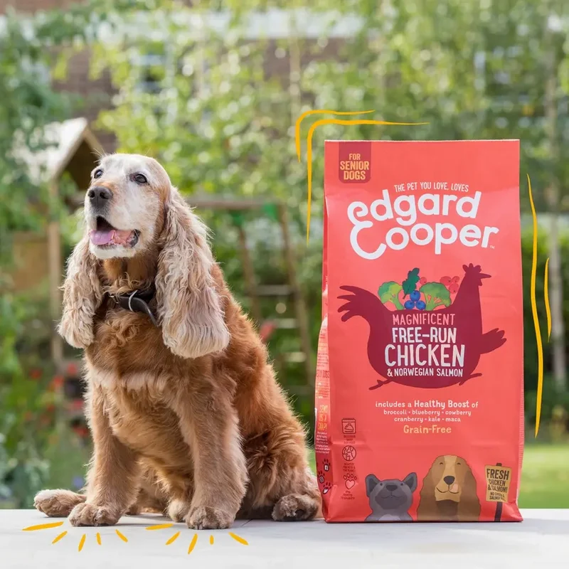 Edgard & Cooper Dog Senior Pollo y Salmón