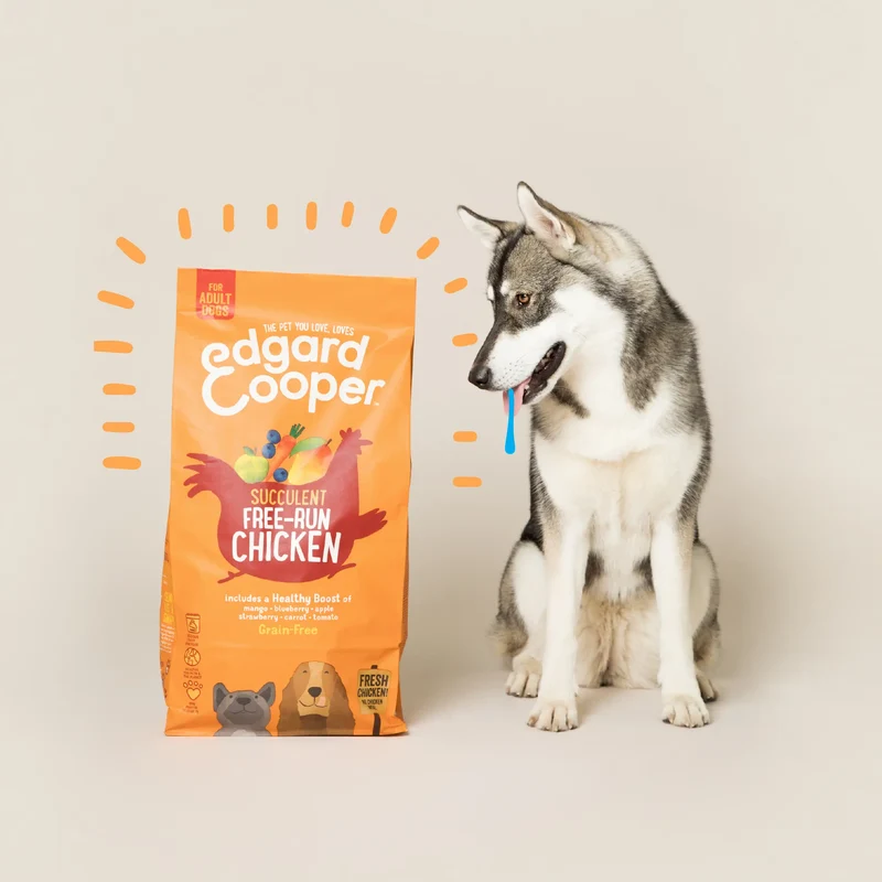 Edgard & Cooper Dog Pollo de Corral