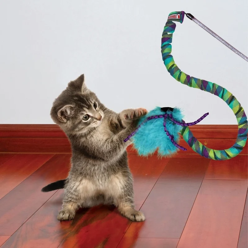 KONG Cat Curlz Teaser