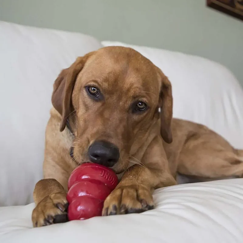 KONG Snacks Liver S 198g