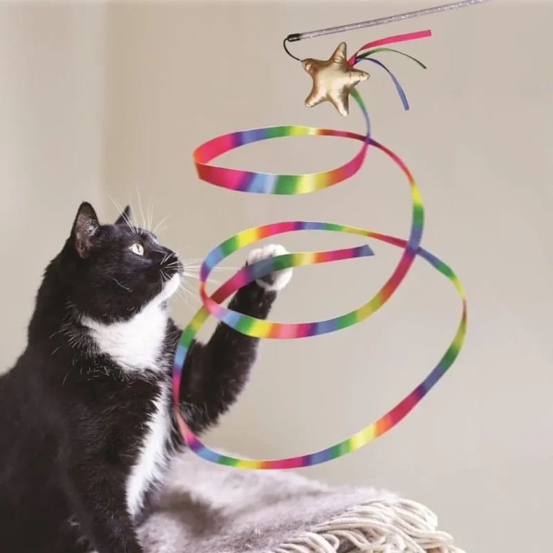 KONG Cat Stellar Teaser