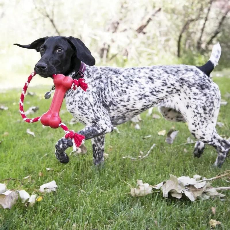 KONG Goodie Bone with Rope