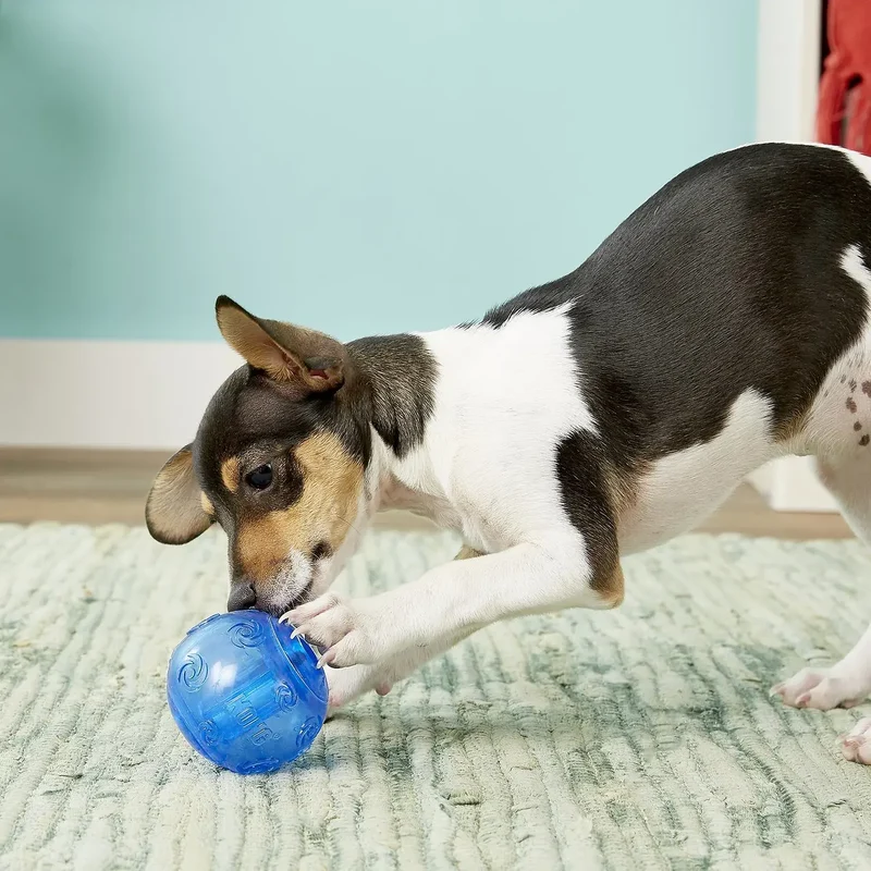 KONG Squeezz Ball M