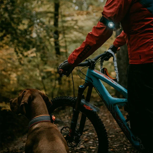 Orbiloc Dog Dual Safety Light - K9 Active Pack