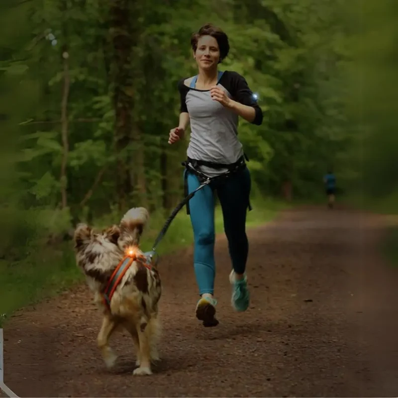 Orbiloc Dog Dual Safety Light - K9 Active Pack