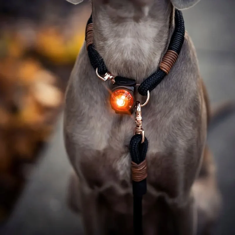 Orbiloc Dog Dual Safety Light - K9 Active Pack