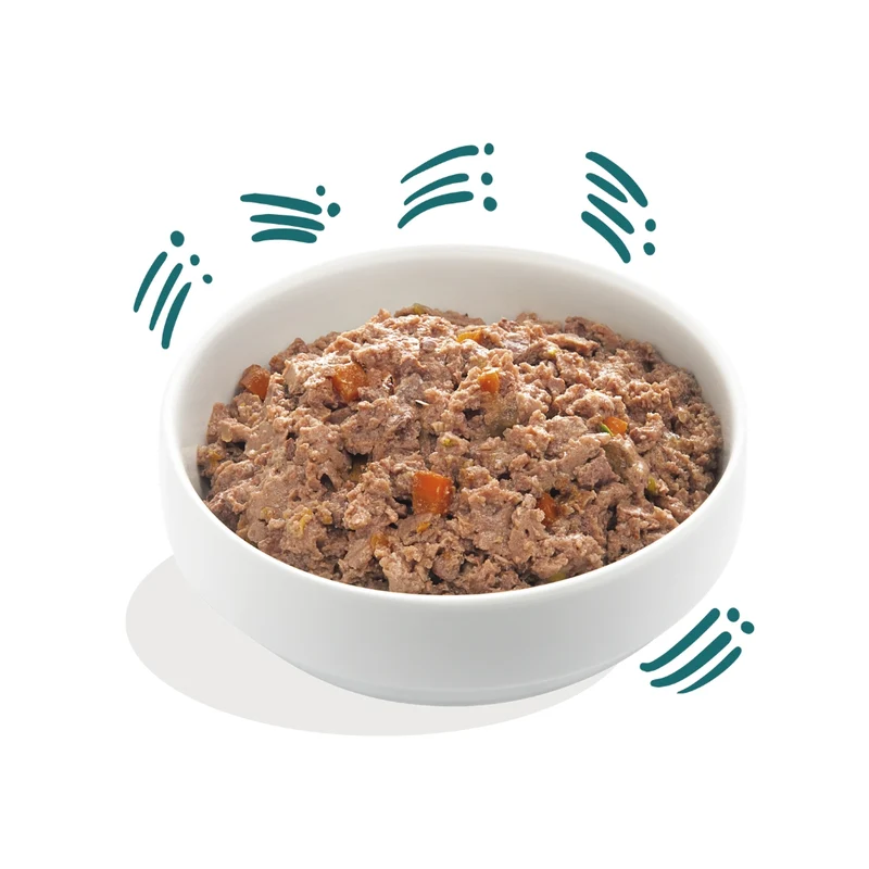 Edgard & Cooper Dog tarrina BIO Puppy Pollo y Pescado 100g