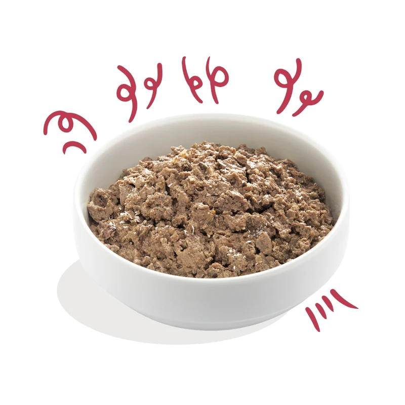 Edgard & Cooper Dog tarrina BIO Ternera 100g