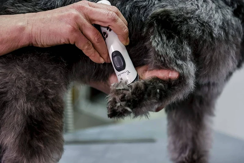 Artero máquina de peluquería canina para patas y caras Aesculap Exacta