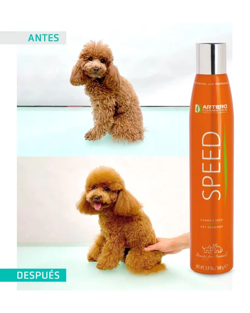 🐶✨ Artero Champú Seco Speed 300 ml en Spray | Limpieza rápida sin agua para perros y gatos