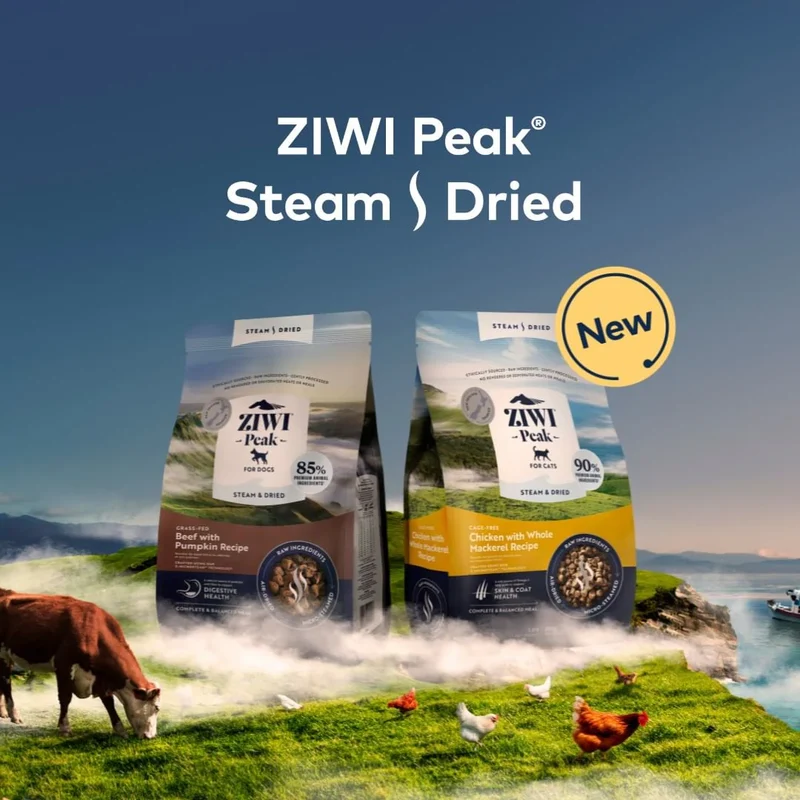 ZiwiPeak Dog Steam&Dried Lamb