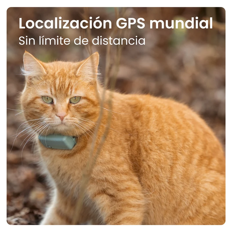 Tractive - GPS Cat Mini Menta
