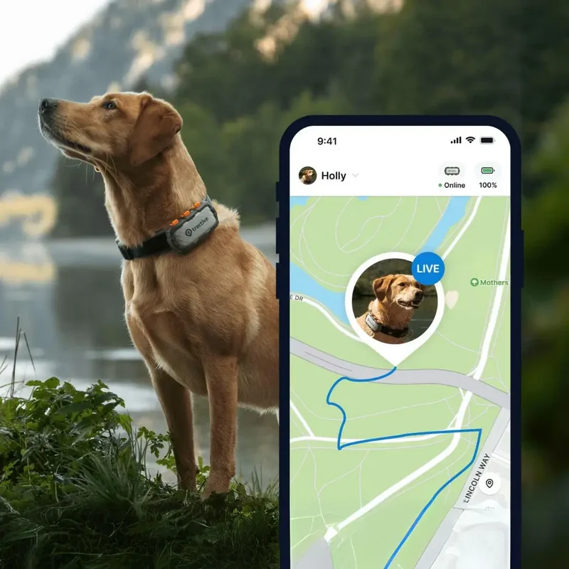 Tractive - GPS Dog Adventure XL